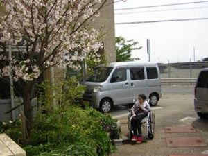 リフレ油壺　桜のお花見