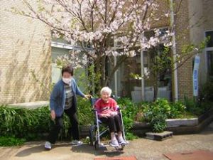 リフレ油壺　桜のお花見