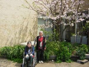 リフレ油壺　桜のお花見