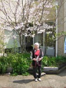 リフレ油壺　桜のお花見
