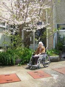 リフレ油壺　桜のお花見