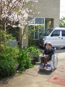 リフレ油壺　桜のお花見