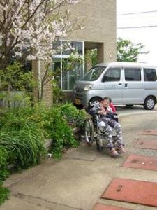 リフレ油壺　桜のお花見