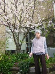 リフレ油壺　桜のお花見