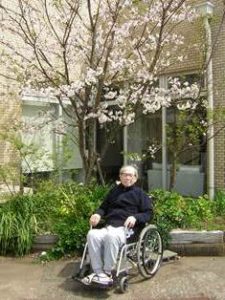 リフレ油壺　桜のお花見