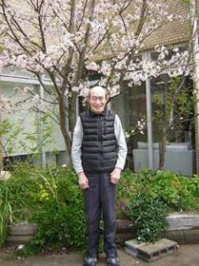 リフレ油壺　桜のお花見