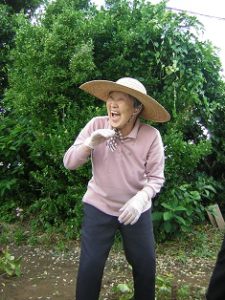 リフレ油壷　じゃが芋の収穫