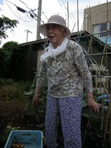 リフレ油壷　じゃが芋の収穫